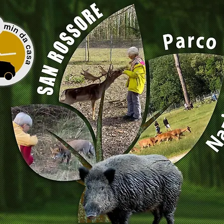 - Da 1 A 8 Ospiti - Torre, Parco E Divertimento Apartamento