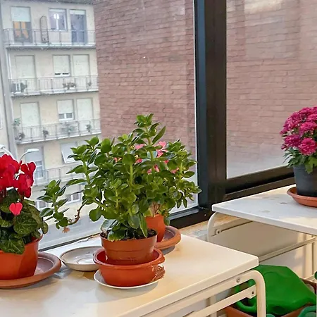 Apartamento - Da 1 A 8 Ospiti - Torre, Parco E Divertimento Pisa